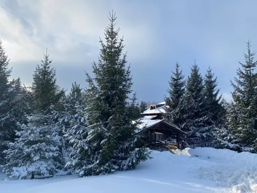 РАССВЕТ